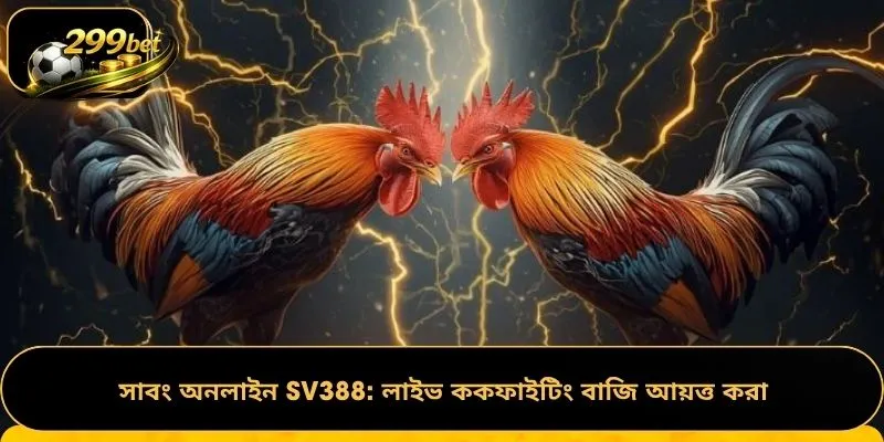সাবং অনলাইন SV388: লাইভ ককফাইটিং বাজি আয়ত্ত করা